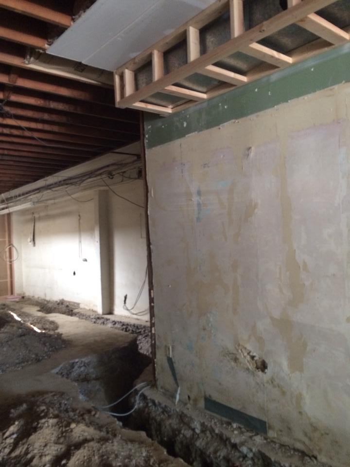 Retail Business Consulting 